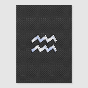 Modern Silver Aquarius Zodiac Sign on Snake