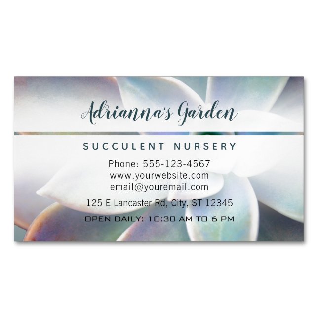 Modern Simple Botanical Succulent Nursery Photo Magnetic Business Card (Front)