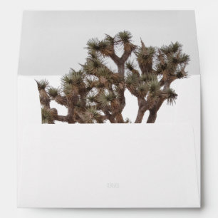 Modern Simple Elegant Colour Joshua tree Silhouett Envelope