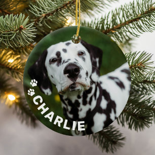 Modern Simple Pet Name and Photo Ceramic Ornament