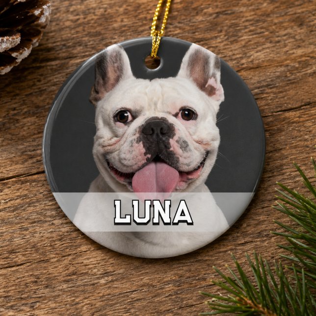 Modern Simple Pet Photo Ceramic Ornament (Your Favorite Dog, Cat or Pet Photo Ornament)