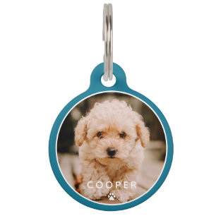 Modern Simple Playful Elegant Chic Paw Pet Photo Pet Tag
