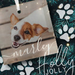 Modern Simple Playful Elegant Chic Pet Photo Glass Ornament<br><div class="desc">This simple and classic design is composed of serif typography and add a custom photo of your pet.</div>