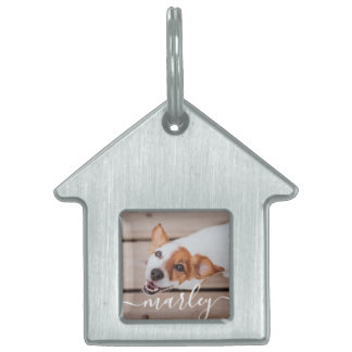 Modern Simple Playful Elegant Chic Pet Photo ID Tag