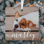 Modern Simple Playful Elegant Chic Pet Photo Metal Ornament<br><div class="desc">This simple and classic design is composed of serif typography and add a custom photo of your pet.</div>