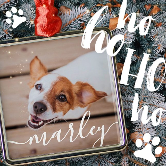 Modern Simple Playful Elegant Chic Pet Photo Metal Ornament (Creator Uploaded)