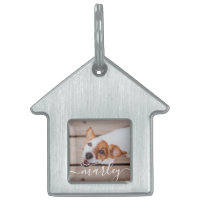 Modern Simple Playful Elegant Chic Pet Photo