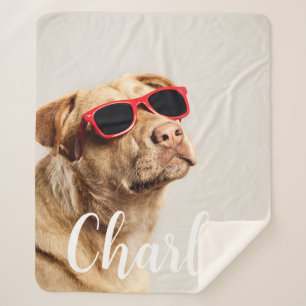 Modern Simple Playful Elegant Chic Pet Photo Sherpa Blanket