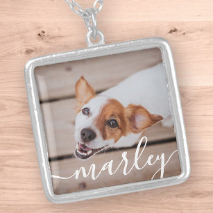 Modern Simple Playful Elegant Chic Pet Photo Silver Plated Necklace