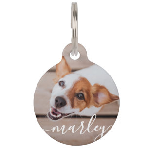 Modern Simple Playful Elegant Chic Pet Photo Tag