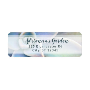 Modern Simple Succulent Plant Nursery Business