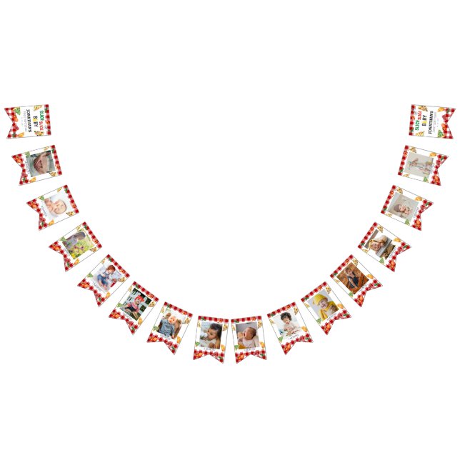 Modern Slice Slice Baby Pizza Photo Milestone Bunting Flags (All)