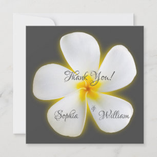 Modern Square White Plumeria Flower, Thank You