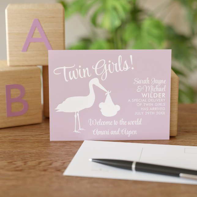 Modern Stork Twin Birth Announcement Postcard (Creator Uploaded)