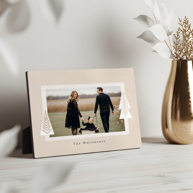 Modern Stripe Frame Evergreen Christmas Tree Photo (Modern Stripe Frame Evergreen Christmas Tree Photo)