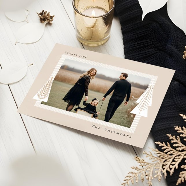 Modern Stripe Frame Evergreen Christmas Tree Photo Holiday Card (Modern Stripe Frame Evergreen Christmas Tree Photo Holiday Card)