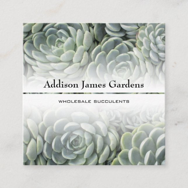 Modern Succulent Garden Nursery Green Botanicals Square Business Card (Front)