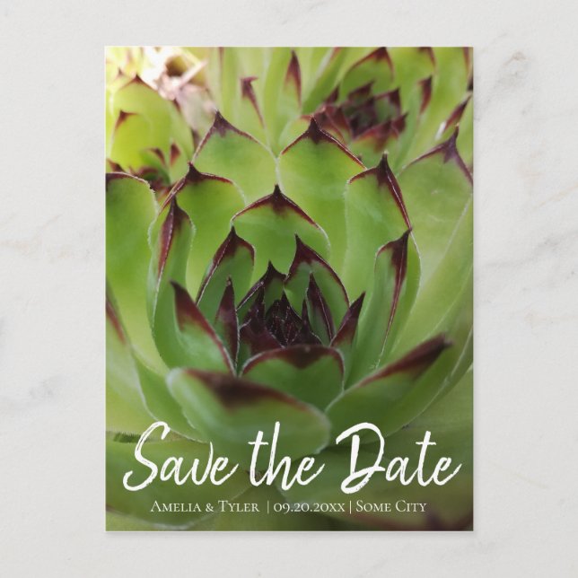 Modern Succulent Script Green Save the Date Announcement Postcard (Front)