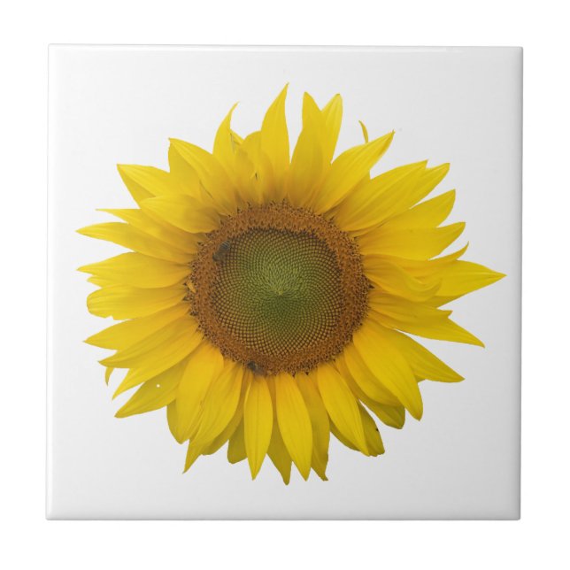 Modern Sunflower Simple Rustic Tile (Front)
