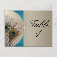 Modern Taupe Aqua Peacock Feather Table Number