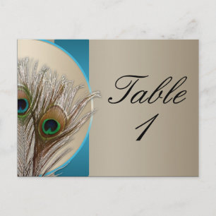 Modern Taupe Aqua Peacock Feather Table Number Postcard