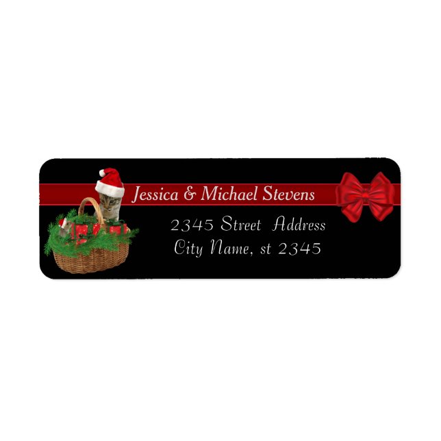 Modern trendy funny holiday cat & mouse santa (Front)