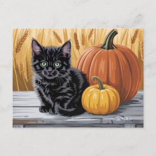 Modern Trendy Halloween Pumpkins and Black Cat  Postcard