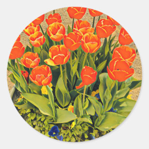 Modern tulips colourful orange classic round sticker