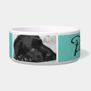 Modern Turquoise Dog Name in Black Script 2 Photo