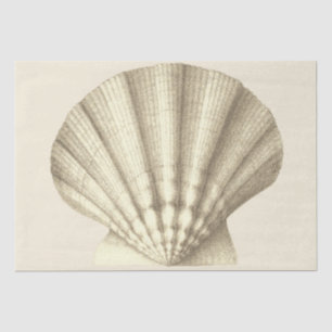 Modern Vintage Beige Shell Tissue Paper