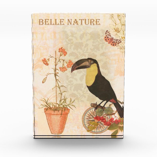 Modern Vintage Bird Pink Flower Butterfly Photo Block (Front)