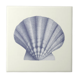 Modern Vintage Blue Sea Shell on Ivory Tile