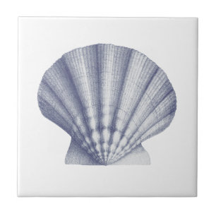 Modern Vintage Blue Sea Shell Tile