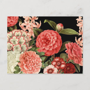 modern vintage botanical pink flowers postcard