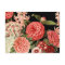 modern vintage botanical pink flowers