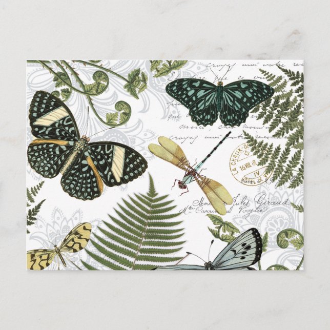 modern vintage butterflies and dragonflies postcard (Front)