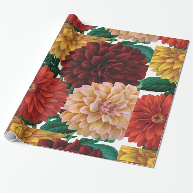 Modern vintage fall dahlias wrapping paper (Unrolled)