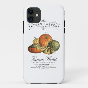 modern vintage fall gourds and pumpkin iPhone 11 case