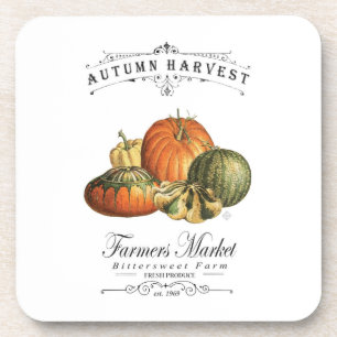 modern vintage fall gourds and pumpkin coaster
