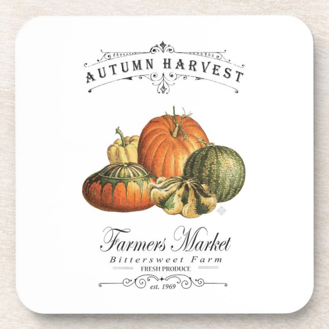 modern vintage fall gourds and pumpkin coaster (Front)