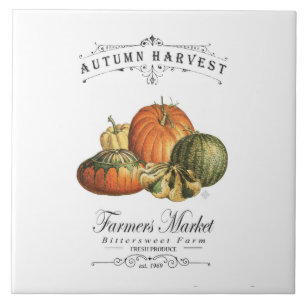 modern vintage fall gourds and pumpkin tile