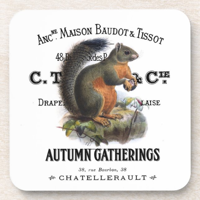 modern vintage fall squirrel coaster (Front)