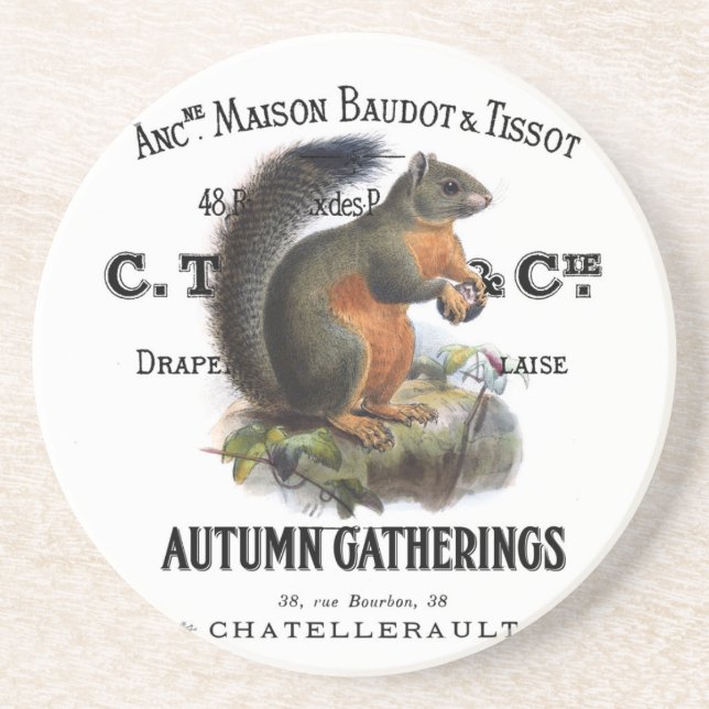 modern vintage fall squirrel coaster (Front)