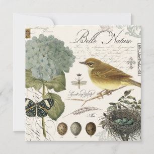 modern vintage French bird and nest