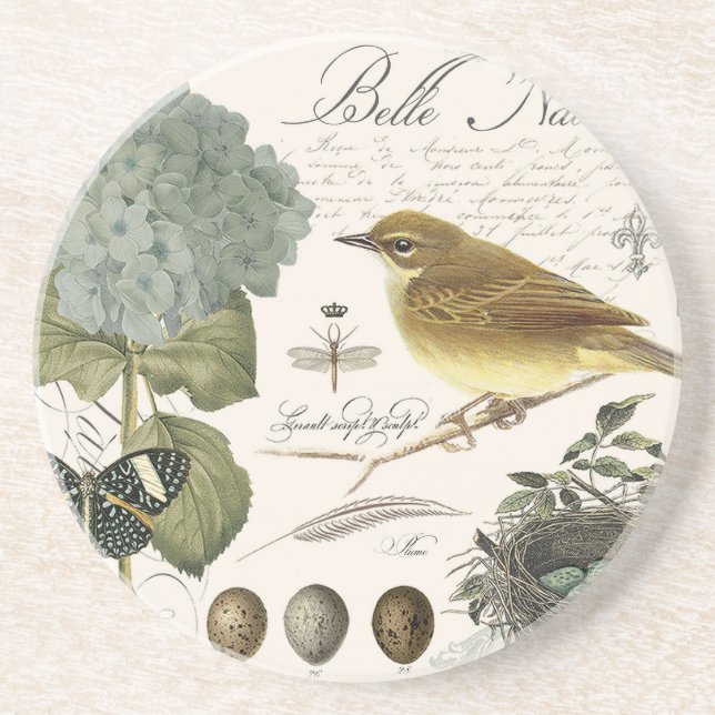 modern vintage French bird and nest Coaster (Front)