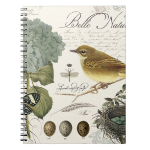 modern vintage French bird and nest Notebook