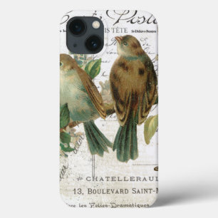 Modern Vintage French birds and birdcage iPhone 13 Case