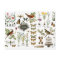 modern vintage french botanical birds and flowers