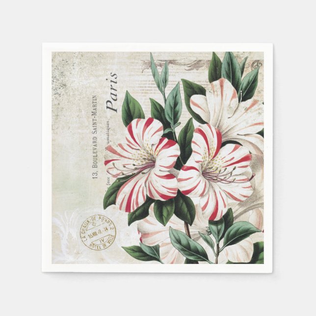 modern vintage french christmas amarylis napkin (Front)