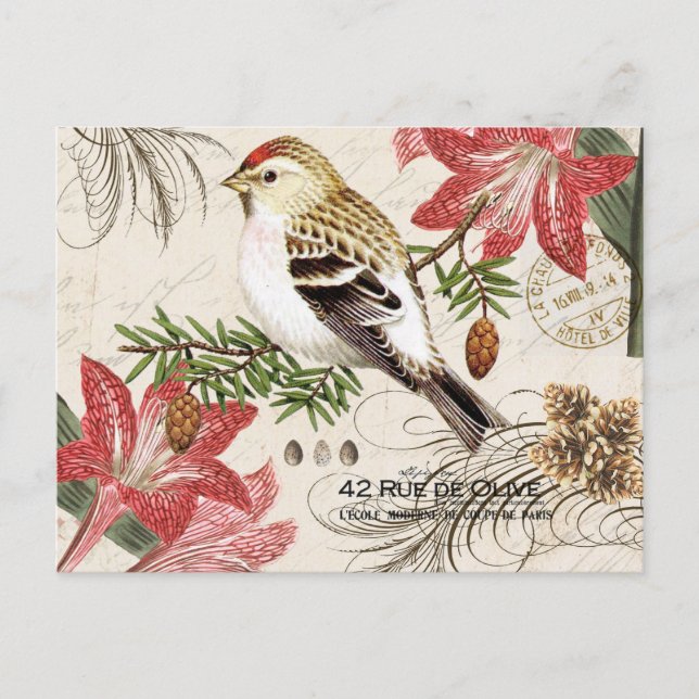 Modern vintage French Christmas bird postcard (Front)